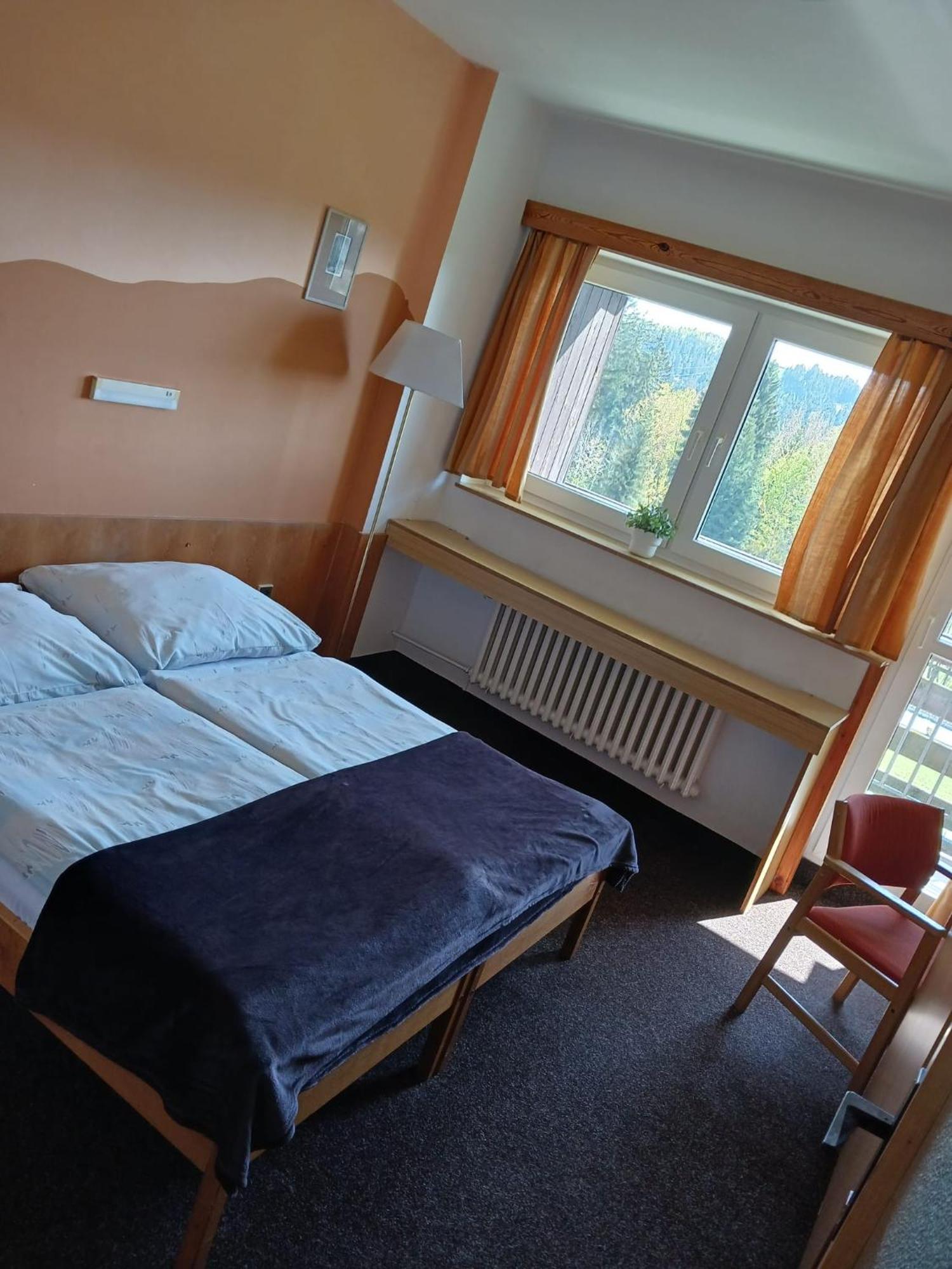 Hotel Albert - Retro Paseky nad Jizerou Dış mekan fotoğraf